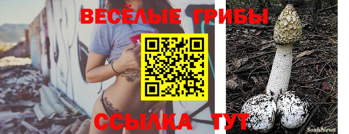 Псилоцибиновые грибы Psilocybine cubensis  Псилоцибиновые грибы GOLDEN TEACHER  Вход с VPN  Елабуга 